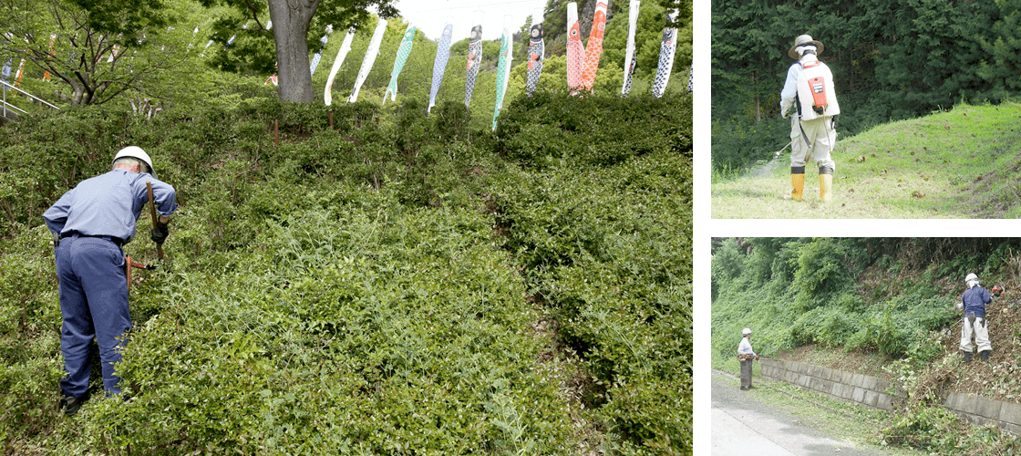 除草工事
